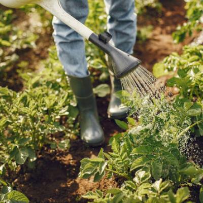 GARDENING