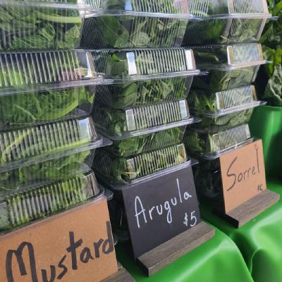 SEASONAL SALADS