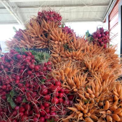 SEASONAL PRODUCE